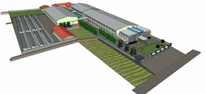 Project Gallery Image