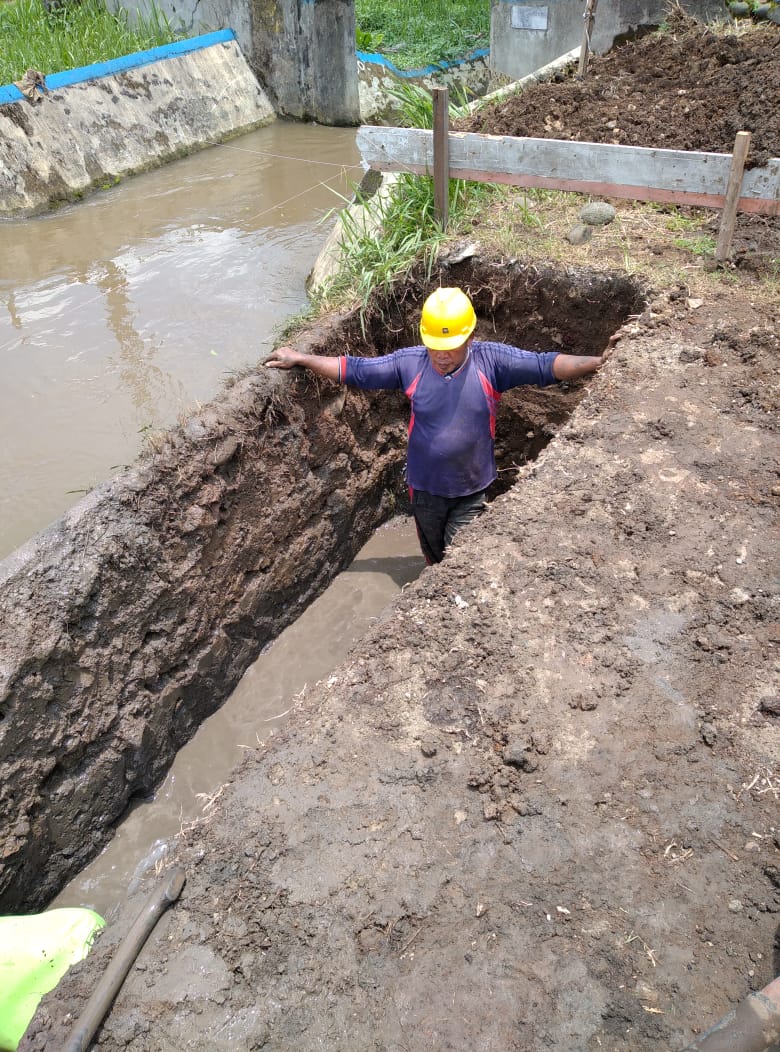 Project Gallery Image