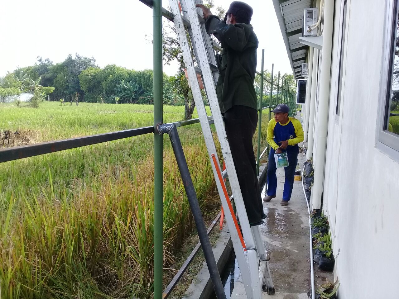 Project Gallery Image