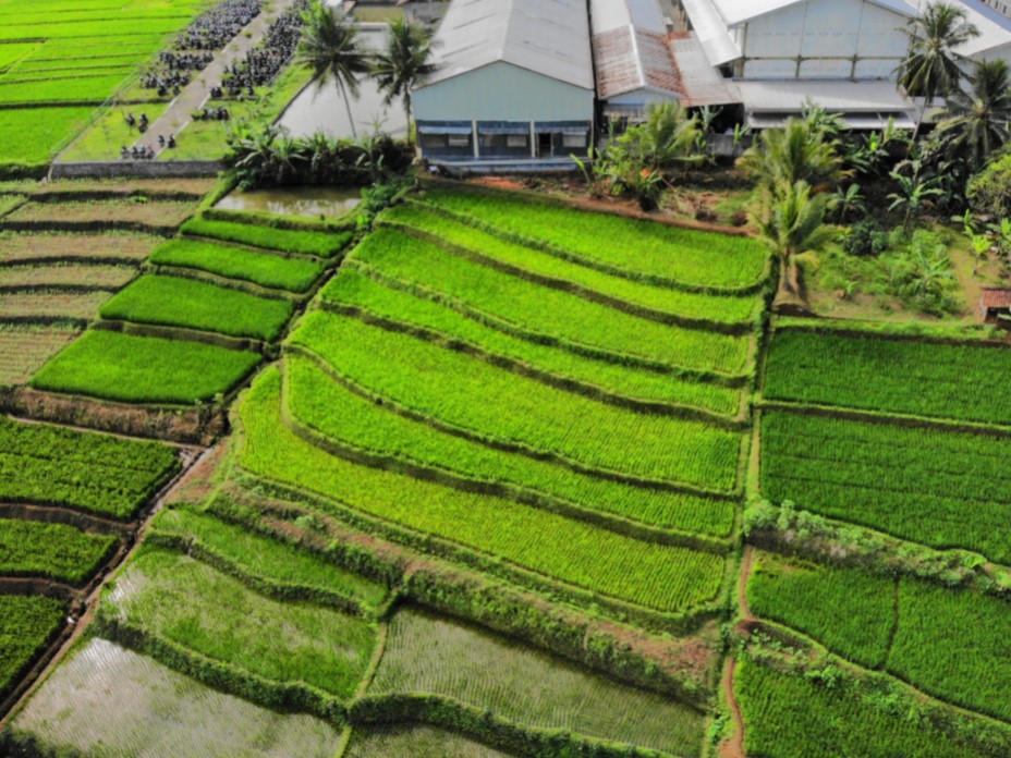 Project Gallery Image